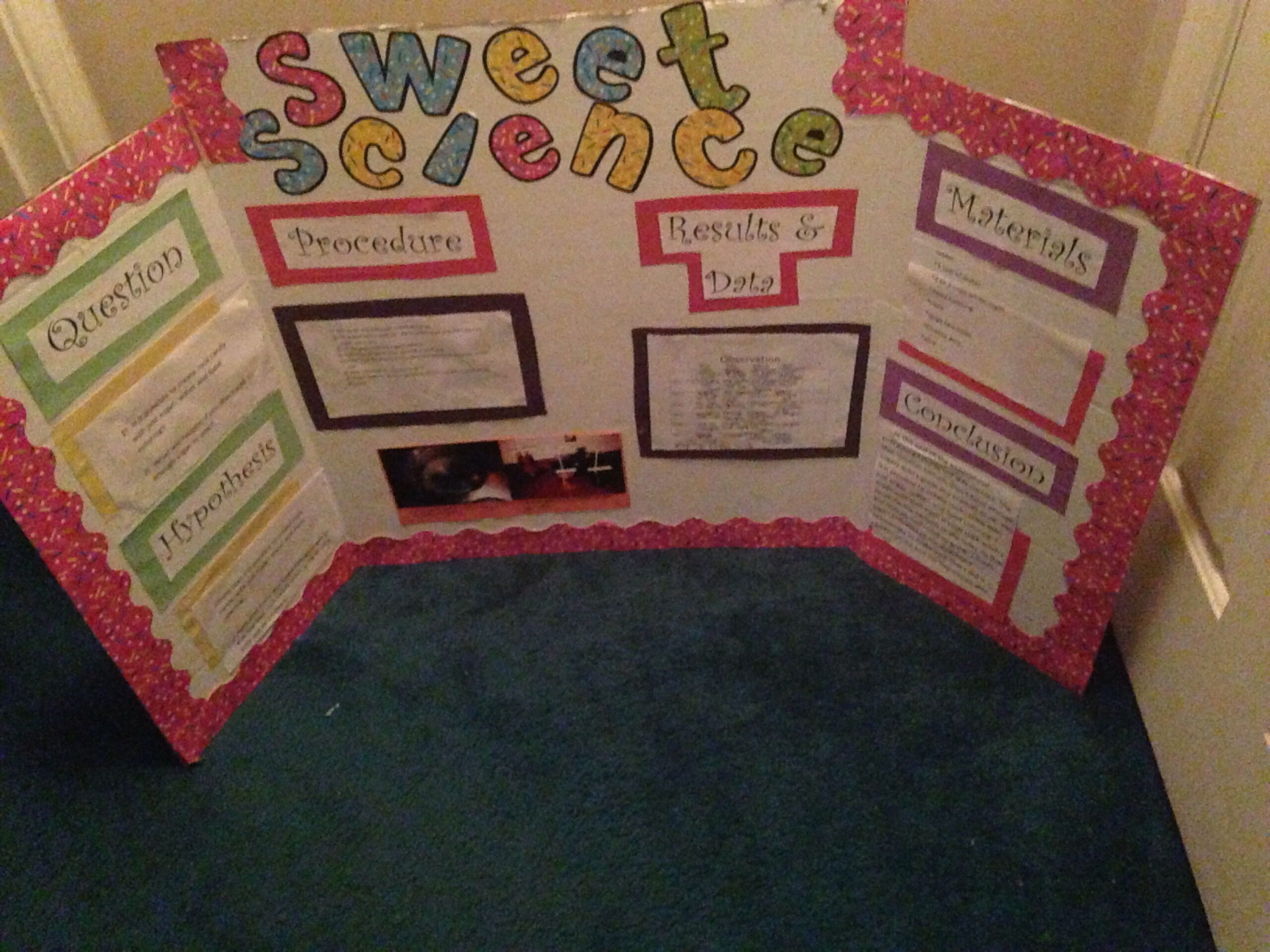 Rock Candy Science Project  Science fair projects, Candy science