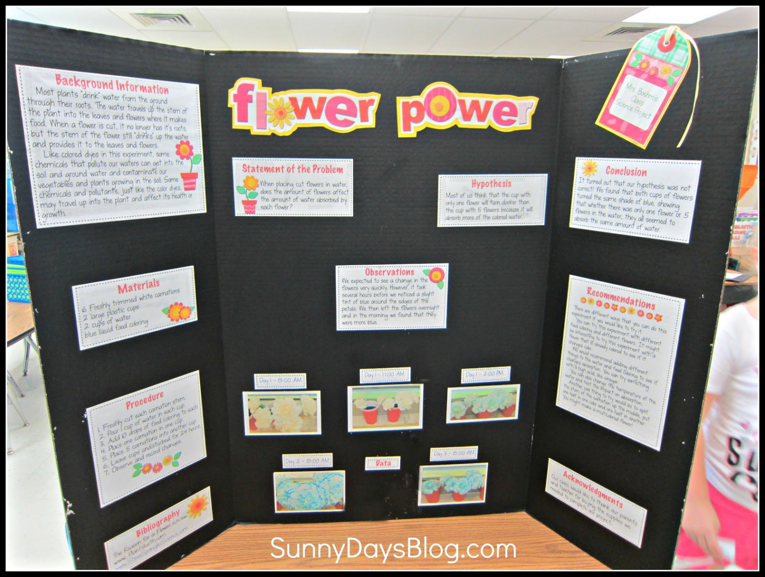 Science Fair Made Easy (and Free!) - Sunny Days in Second Grade