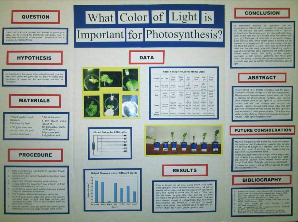 Science Fair Project Board  Examples & How to Design  Edrawmax