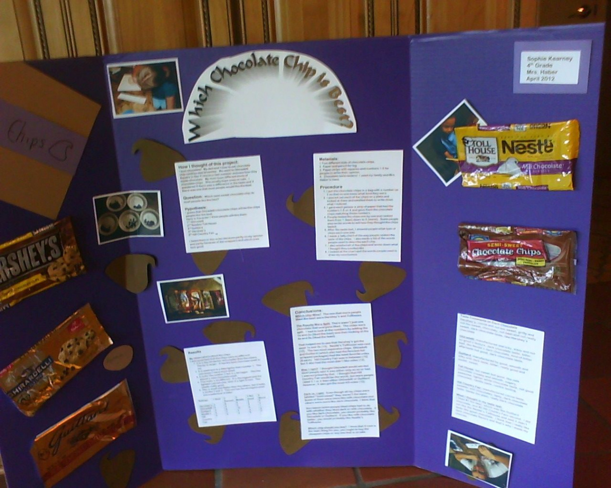 Science Fair Project: Which Chocolate Chip Tastes the Best