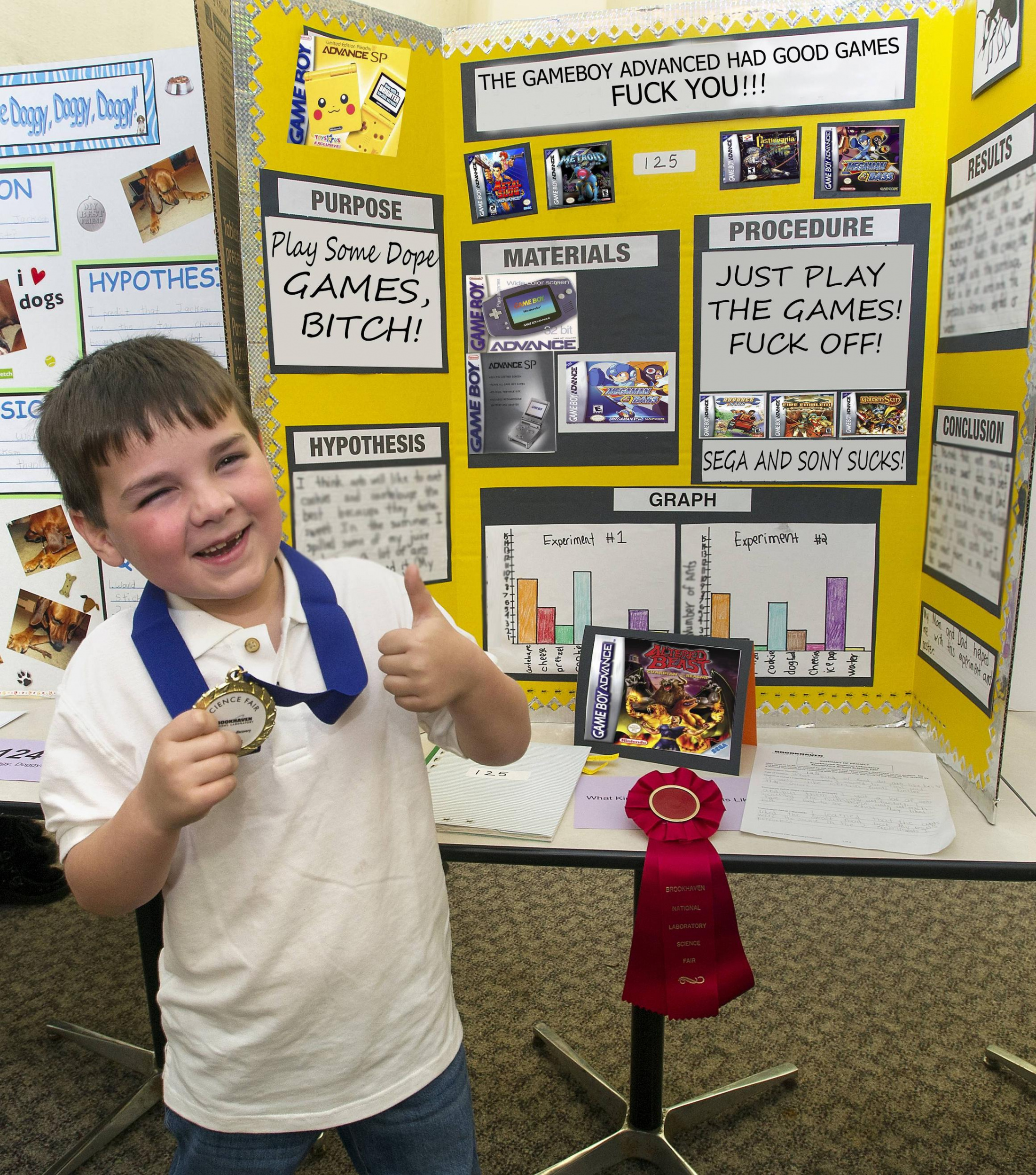 Science Fair Projects based on Videogames are the best! ( Ocarina