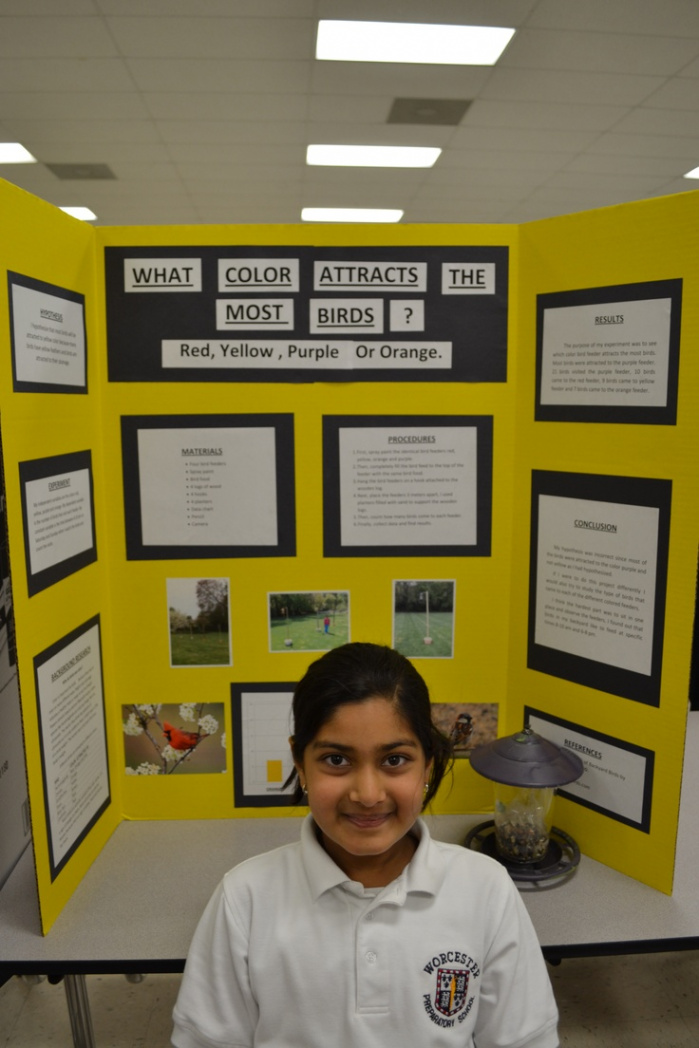 Science Fair  Science fair projects, Science fair, Winning