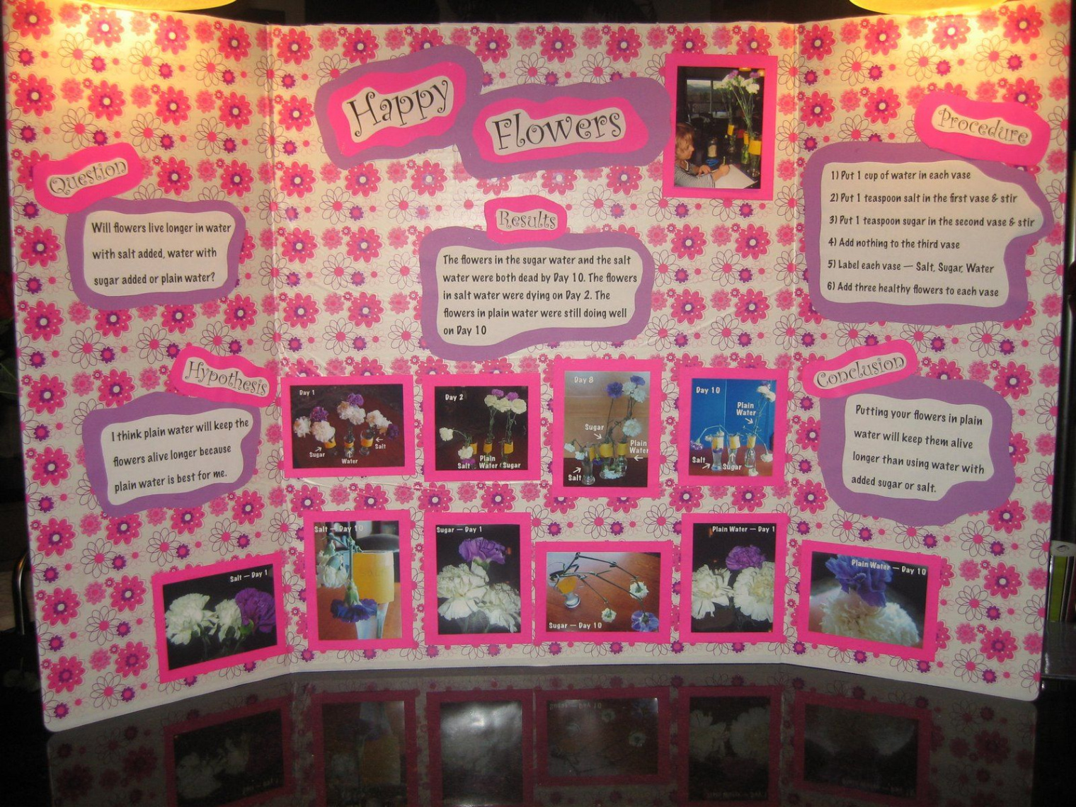 Science  Science fair projects, Fair projects, Cool science projects