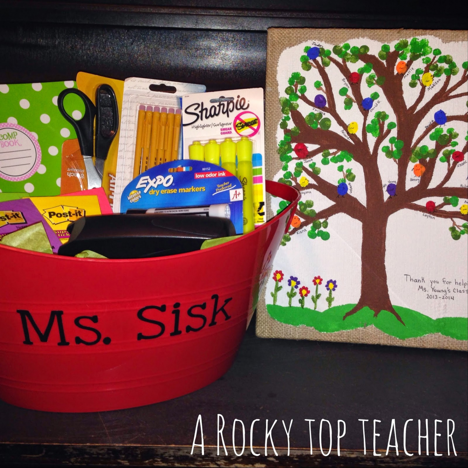 Student Teacher Gift - A Rocky Top Teacher