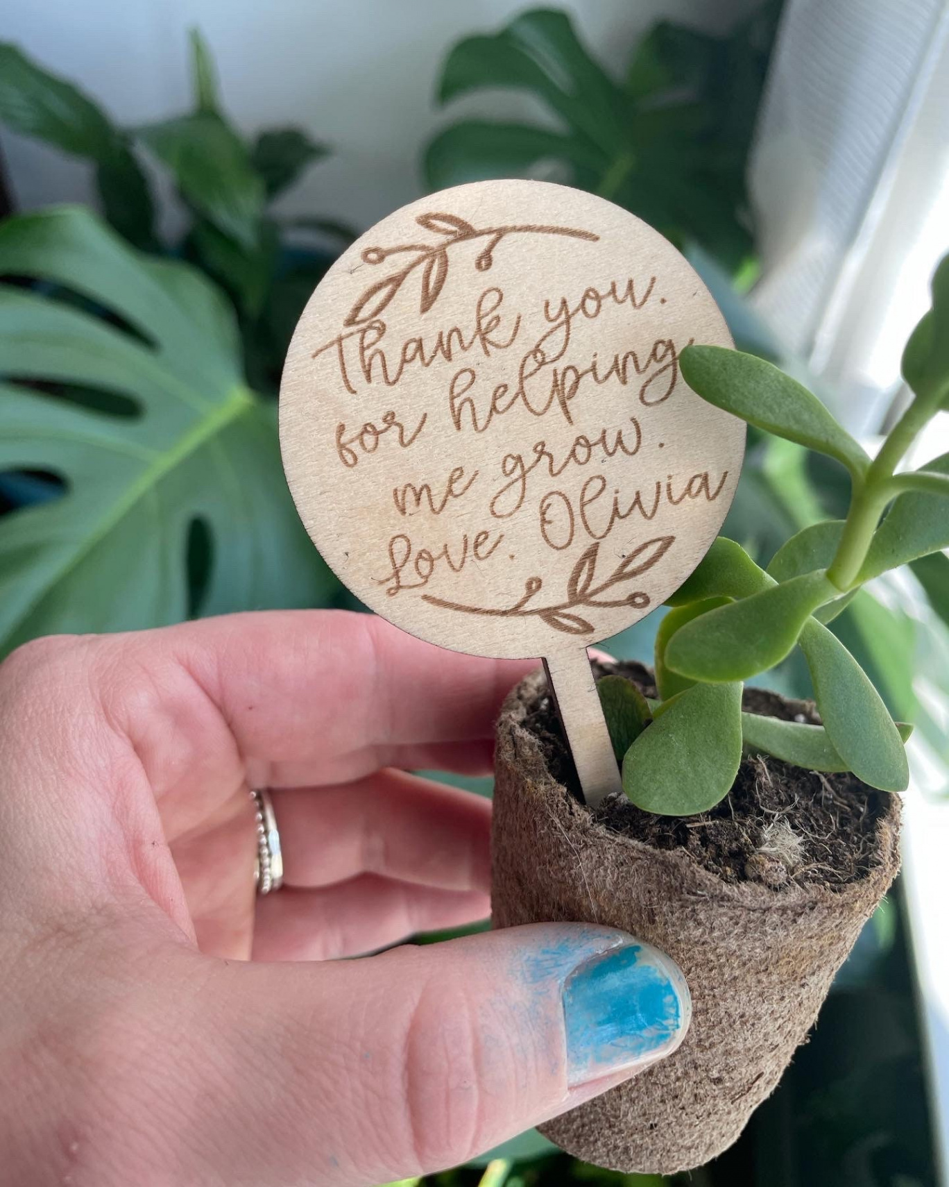 Teacher Appreciation Gift Teacher Plant Pick Daycare Gift - Etsy