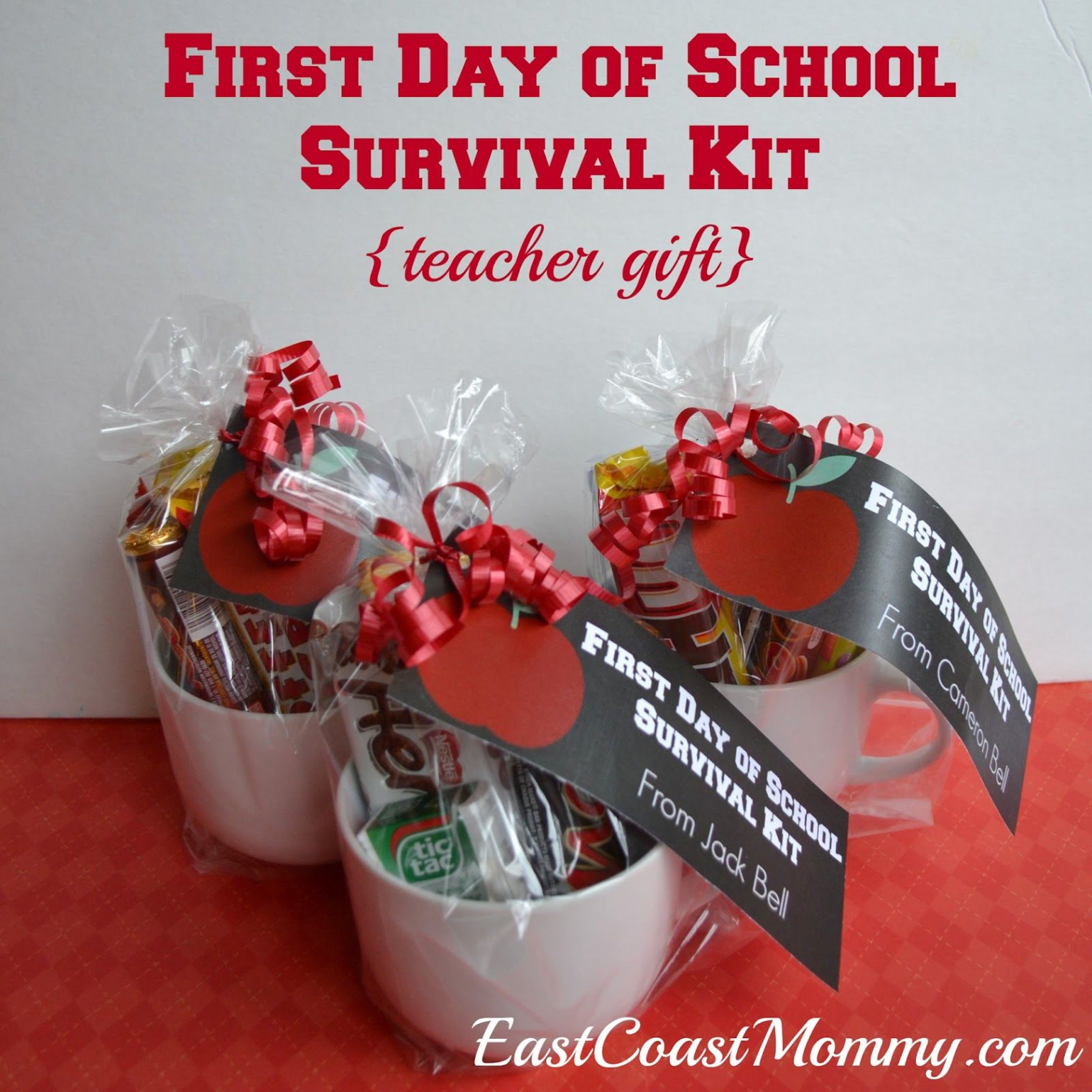 Teacher Gifts for the first day of school  School teacher gifts