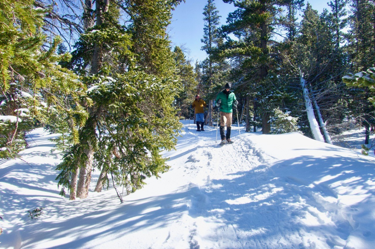 Things to Do in Denver Colorado in the Winter