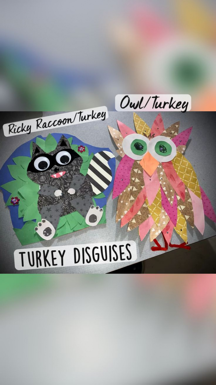 Turkey Disguise Option (raccoon & owl)  Turkey disguise, Raccoon, Owl