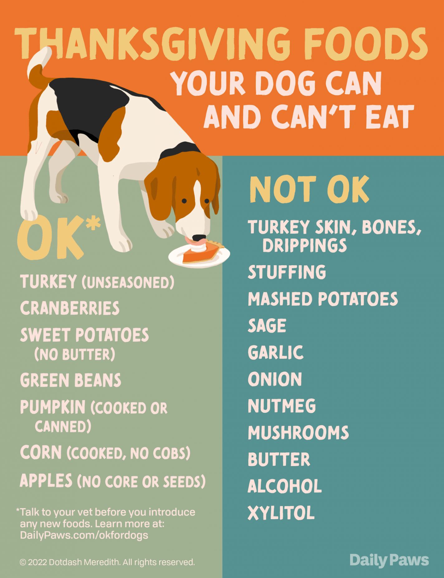 What Thanksgiving Foods Can Dogs Eat? (And Which Ones Should Be