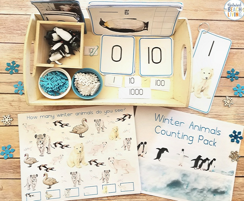 Winter Animals Montessori Math Activities - Natural Beach Living