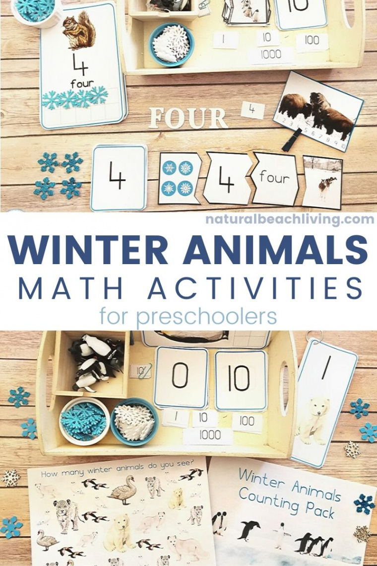 Winter Animals Montessori Math Activities - Natural Beach Living