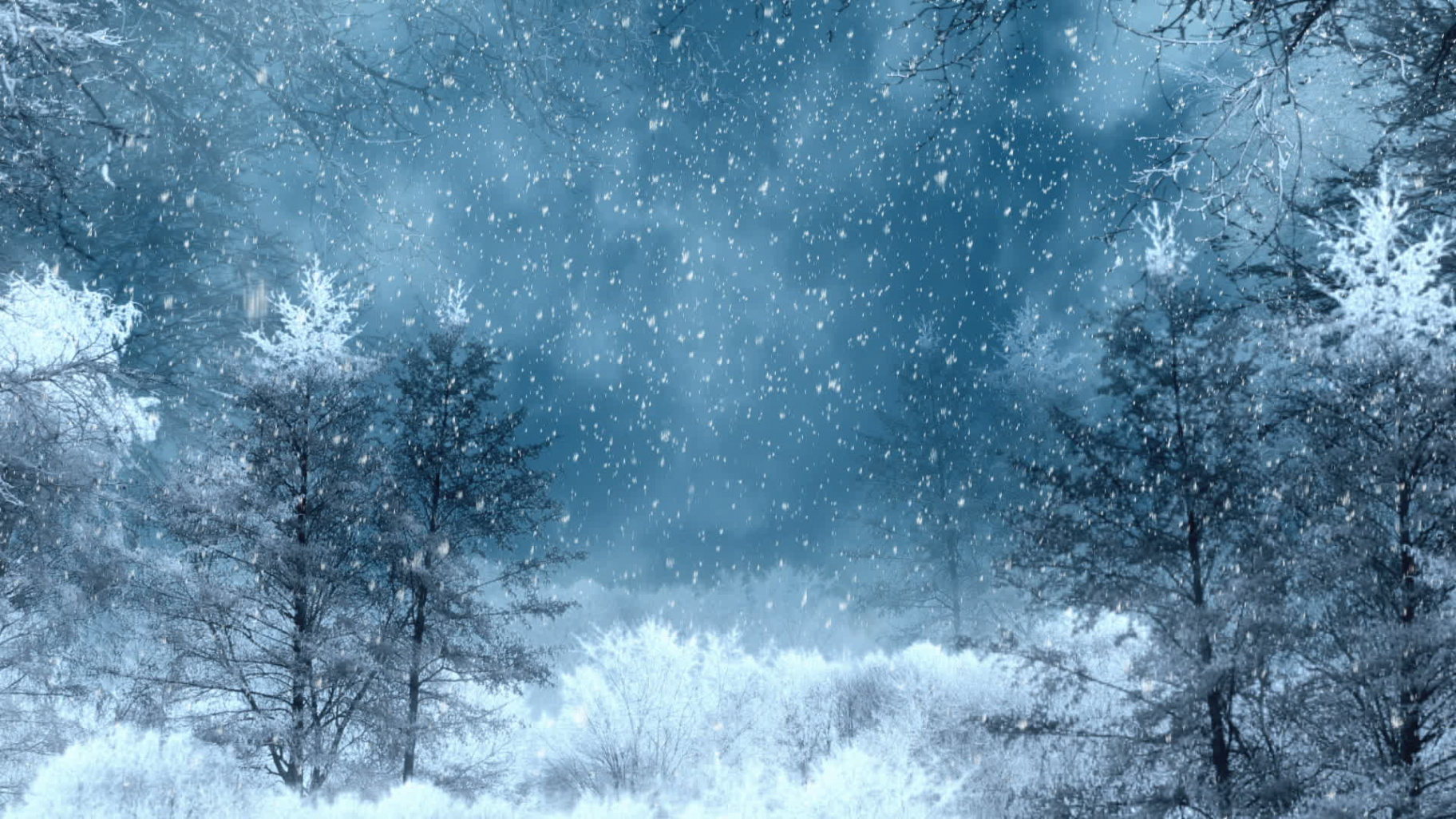 Winter Background Stock Video Footage for Free Download