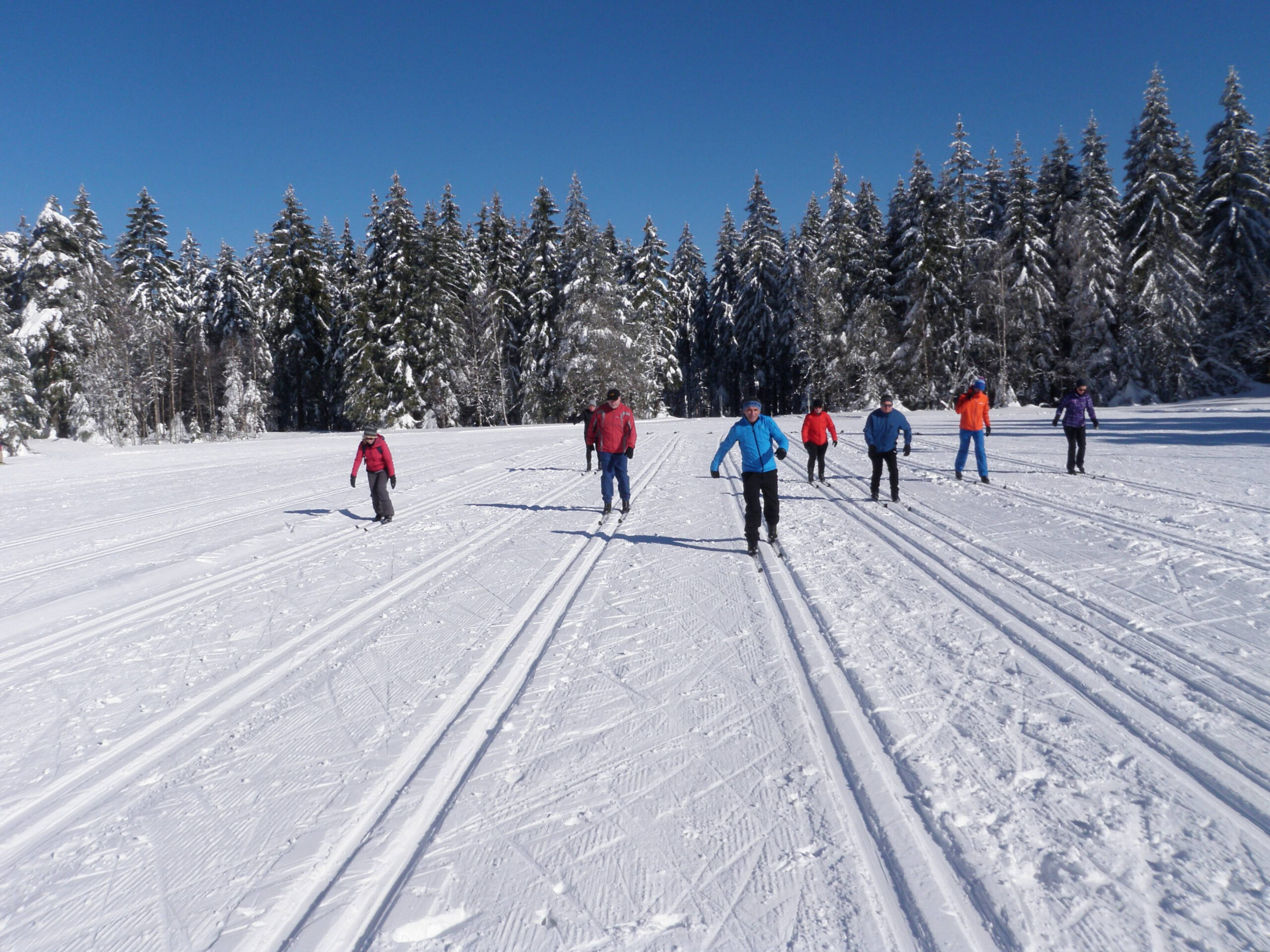 Winter holidays in the Black Forest - Hotel Grüner Wald