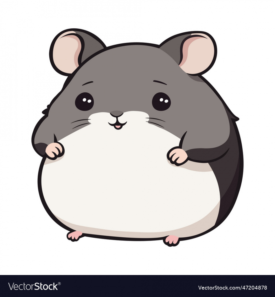 A cartoon image of fat gray and white hamster Vector Image