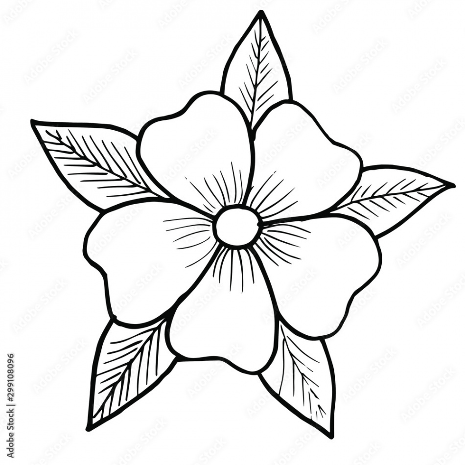 A flower with five petals and five leaves