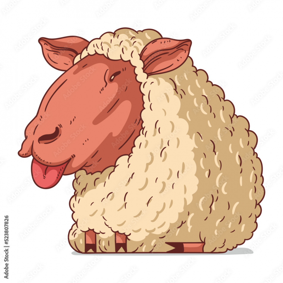 A Sheep, isolated vector illustration