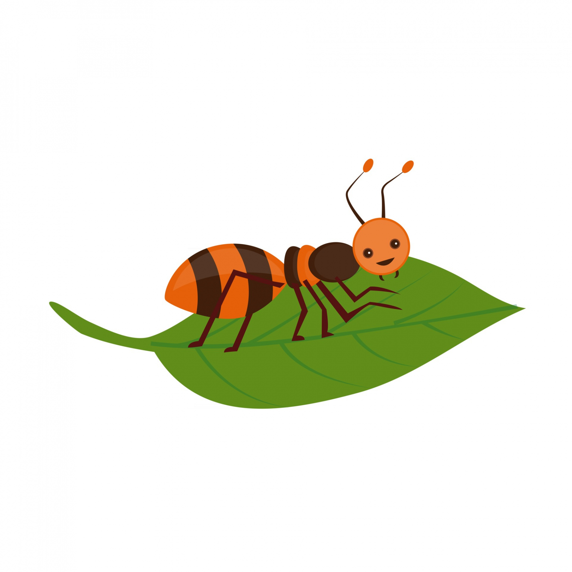 Ant on a leaf cartoon drawing illustration for free download