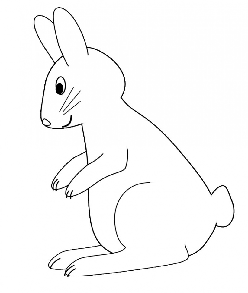 B&W bunny sitting up sketch clipart to color,  cm  Flickr