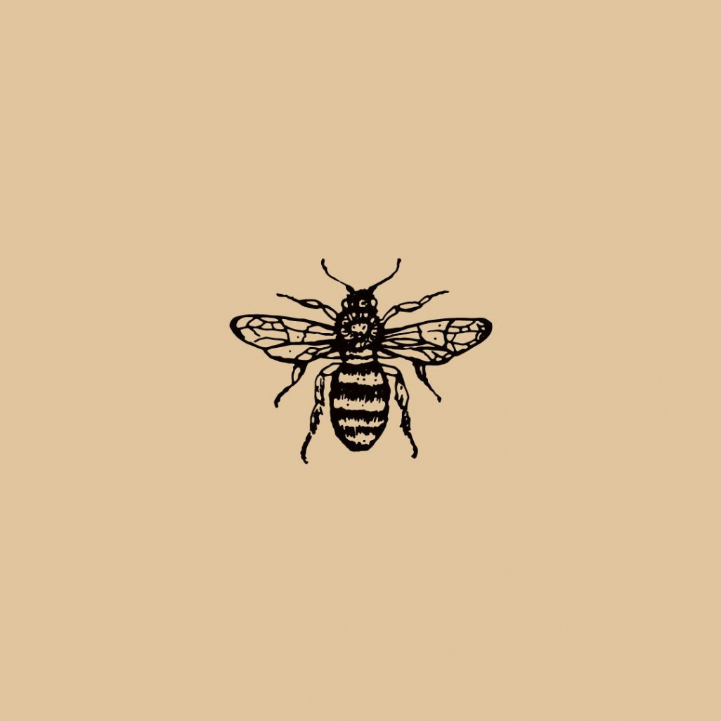 Bee Illustration//Icon//Design//Branding//Braizen #branding  Bee