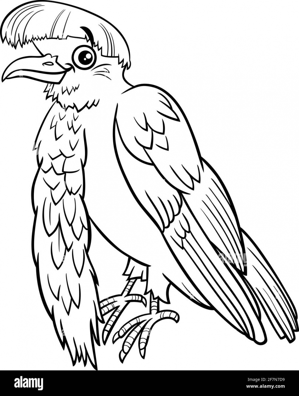 Black and white cartoon illustration of umbrellabird animal