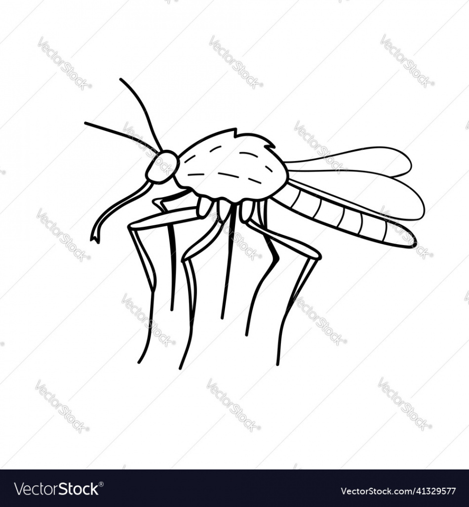 Black outline mosquito drawing insect Royalty Free Vector