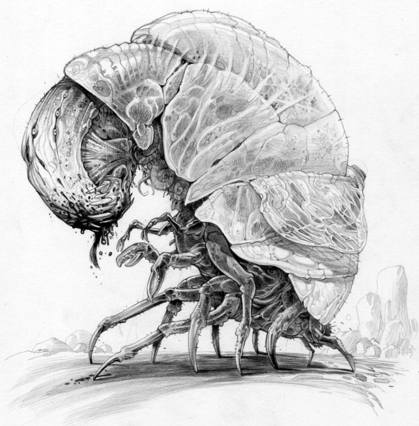 bug by MANSYC on DeviantArt  Creature design, Creature concept