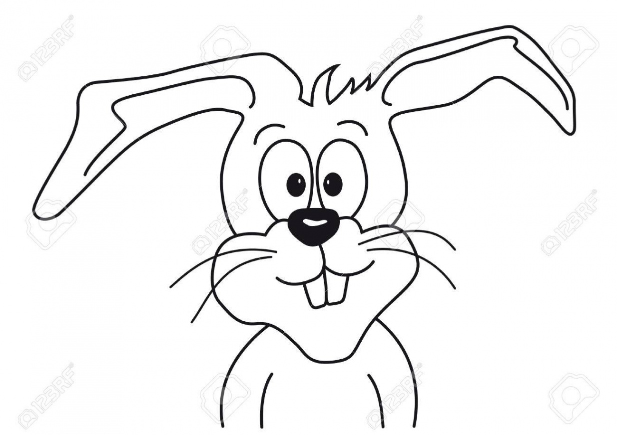 Cartoon Drawing Of A Funny Bunny Face Which Looks Forward To