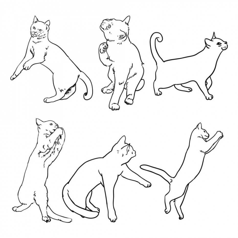 Cat Line Drawing Vector Art, Icons, and Graphics for Free Download