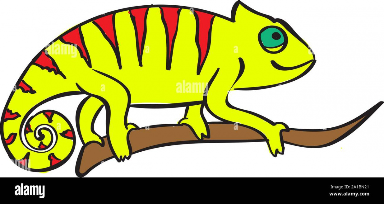 Chameleon on tree, illustration, vector on white background Stock