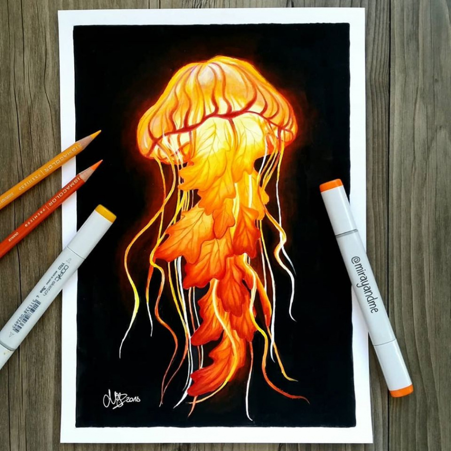 Color Pencil Drawings by Miray   color pencil drawing jellyfish