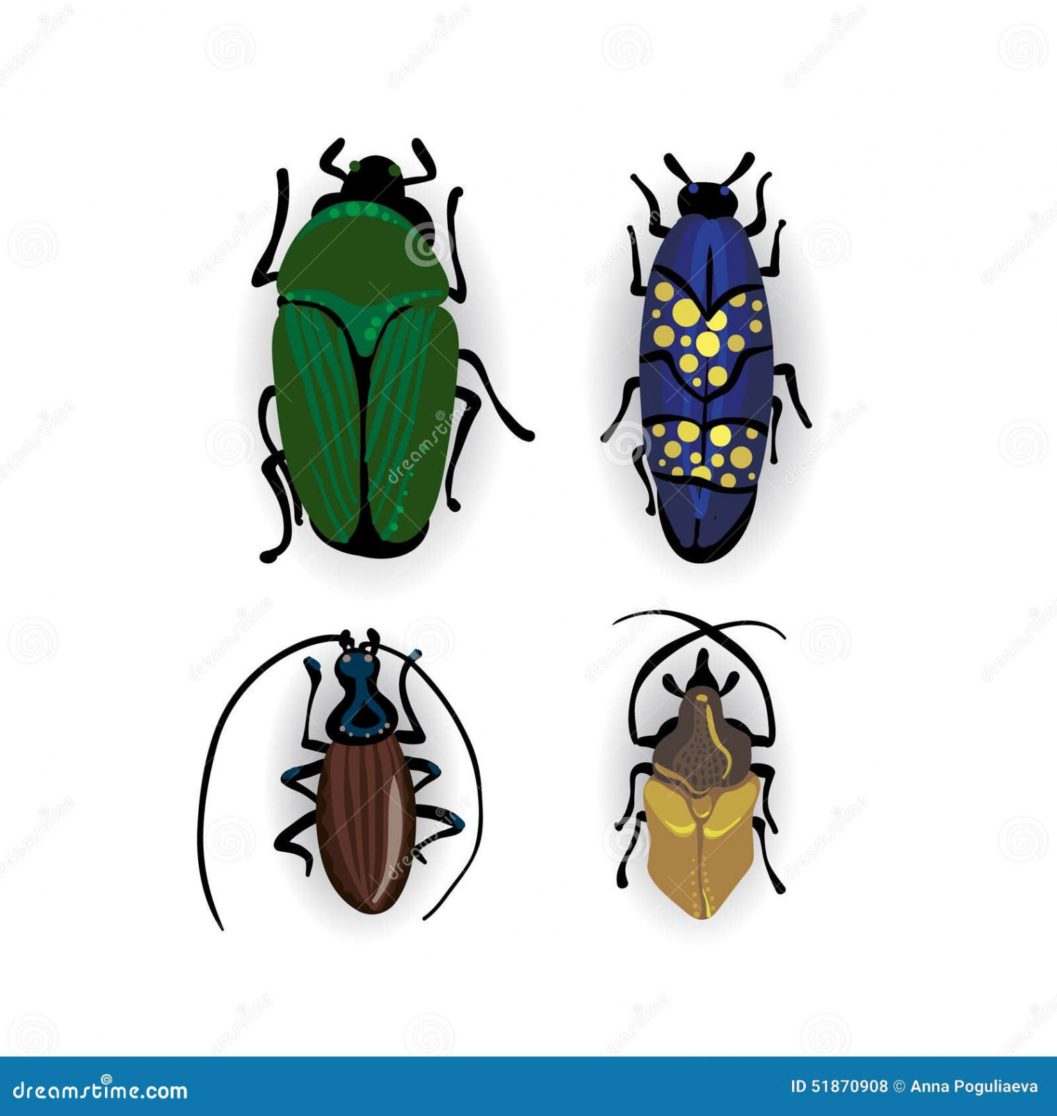 Colorful Vector Drawing of Small Beetles