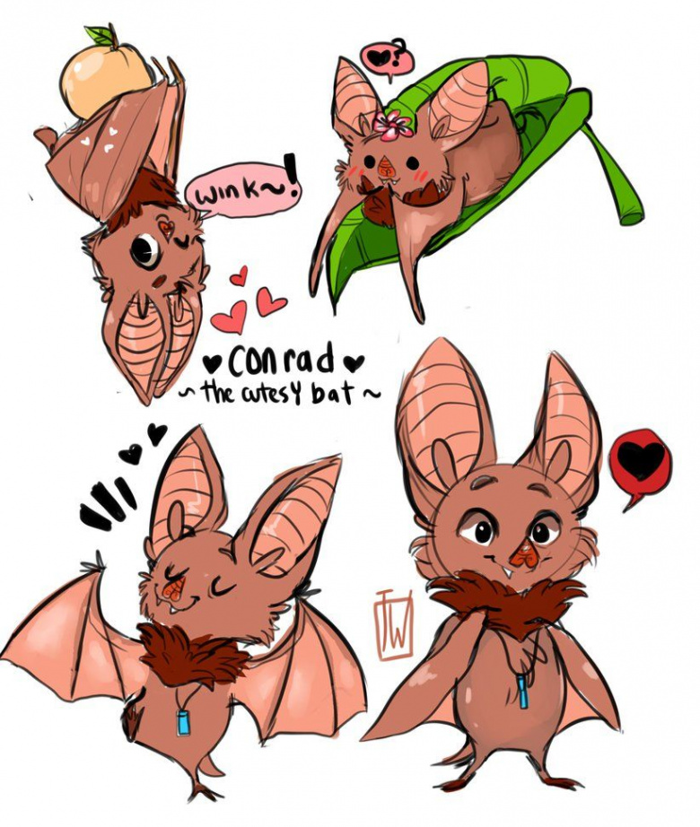 Conrad The Cutesy Bat by temporaryWizard  Cartoon bat, Bat art