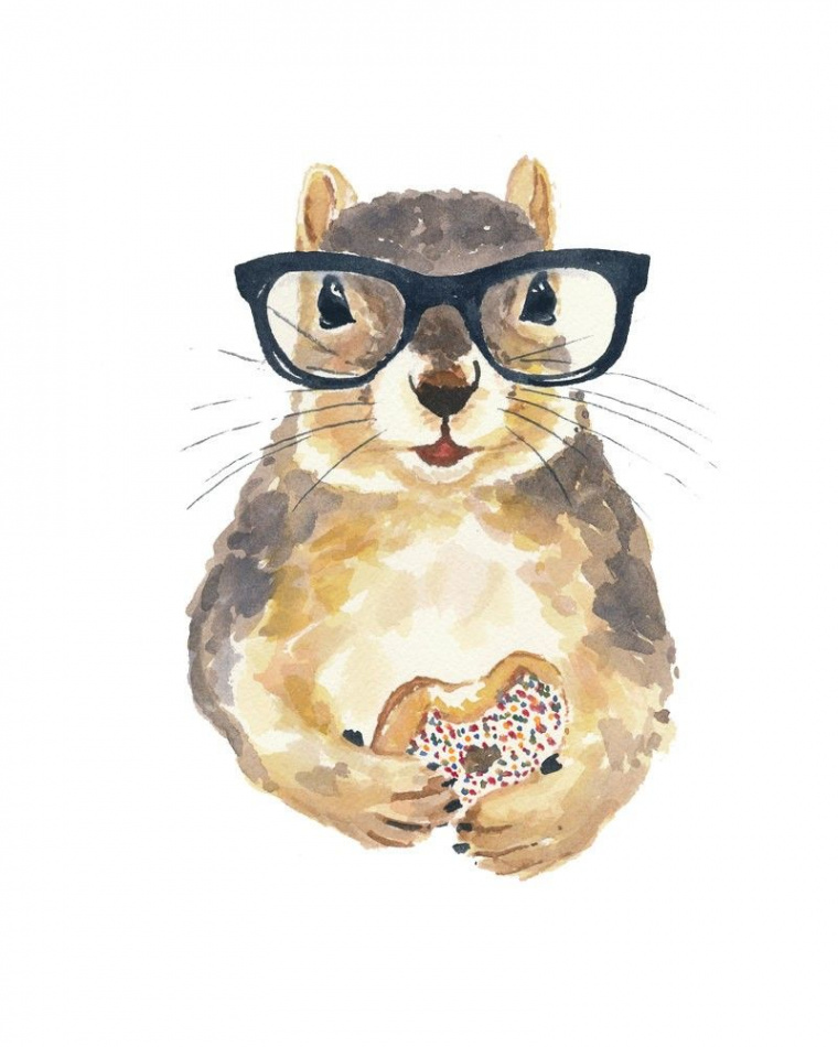 Cool squirrel in glasses biting a nucake tattoo design  Squirrel