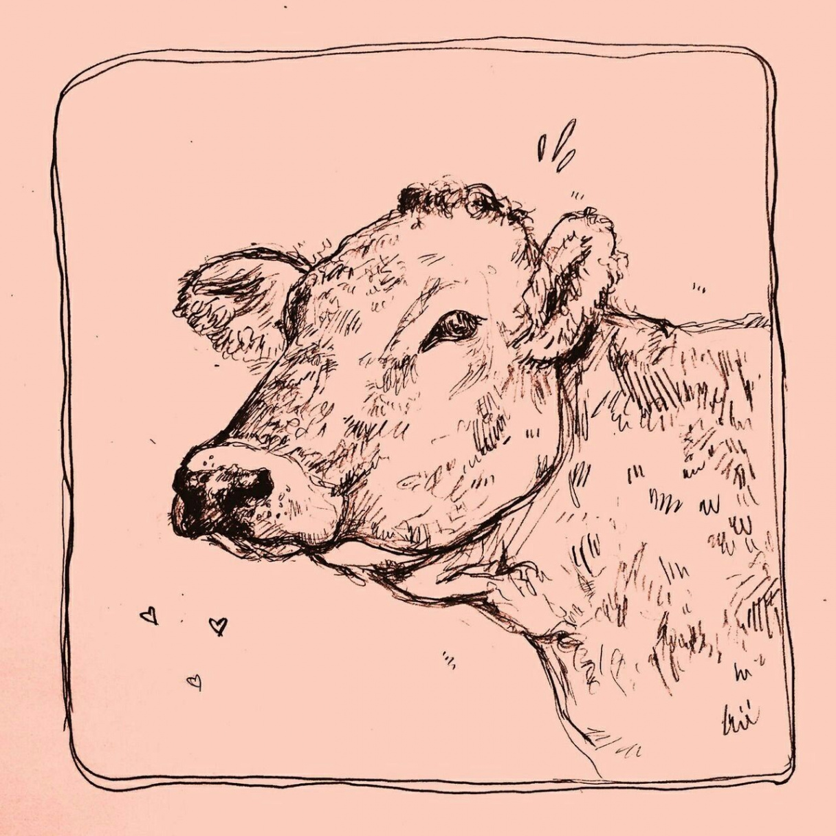 Cow art  Cow art, Art inspiration, Art drawings