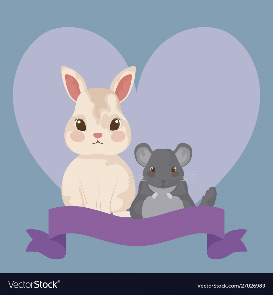 Cute rabbit with hamster baby animals Royalty Free Vector