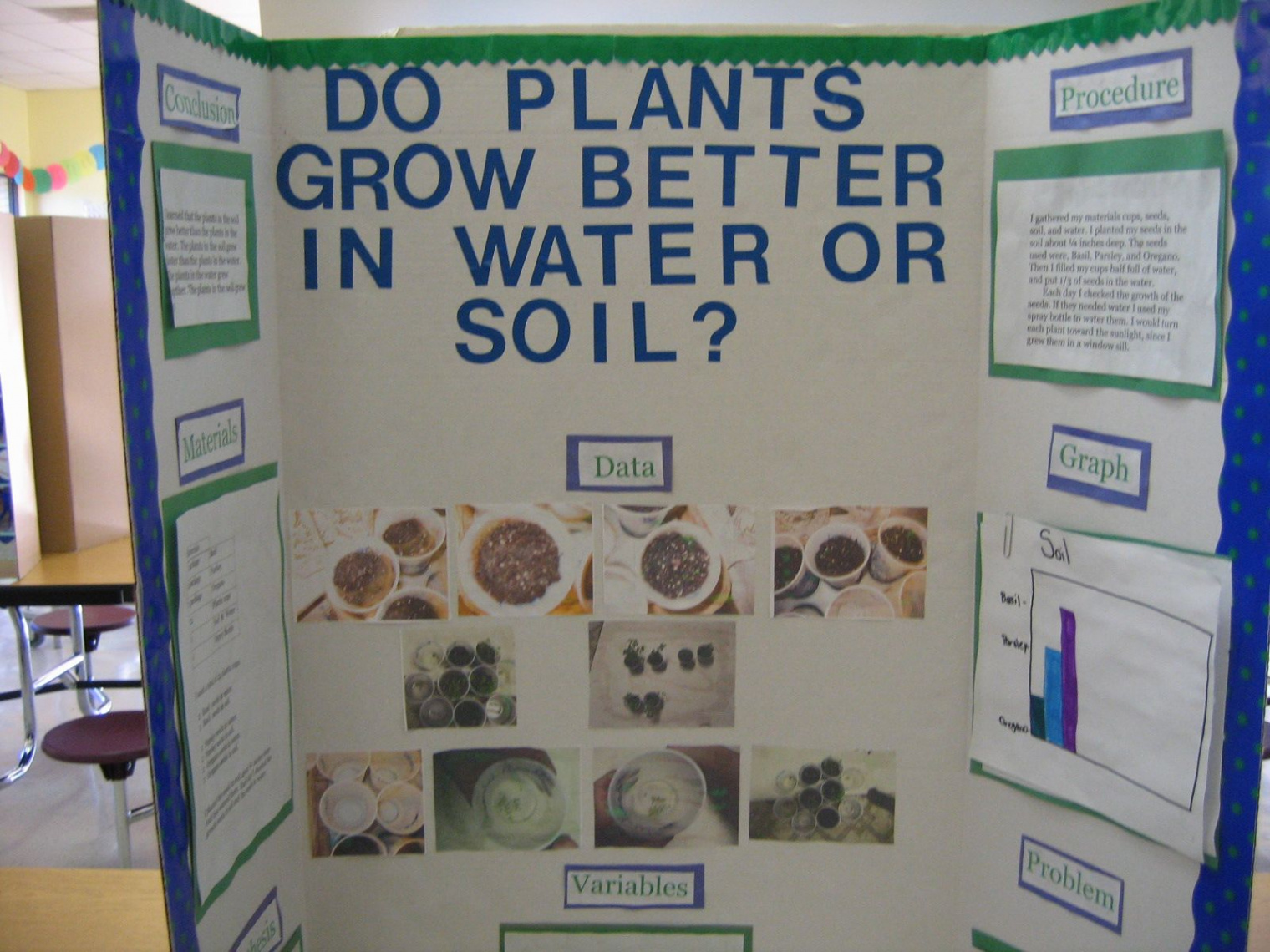 Discover Exciting Science Fair Projects on Plant Growth