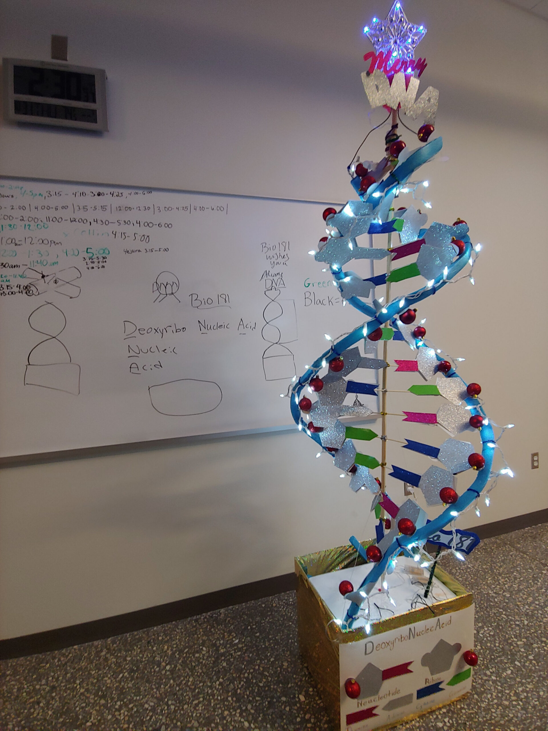 DNA Christmas Tree  Science models, Dna d, Dna model