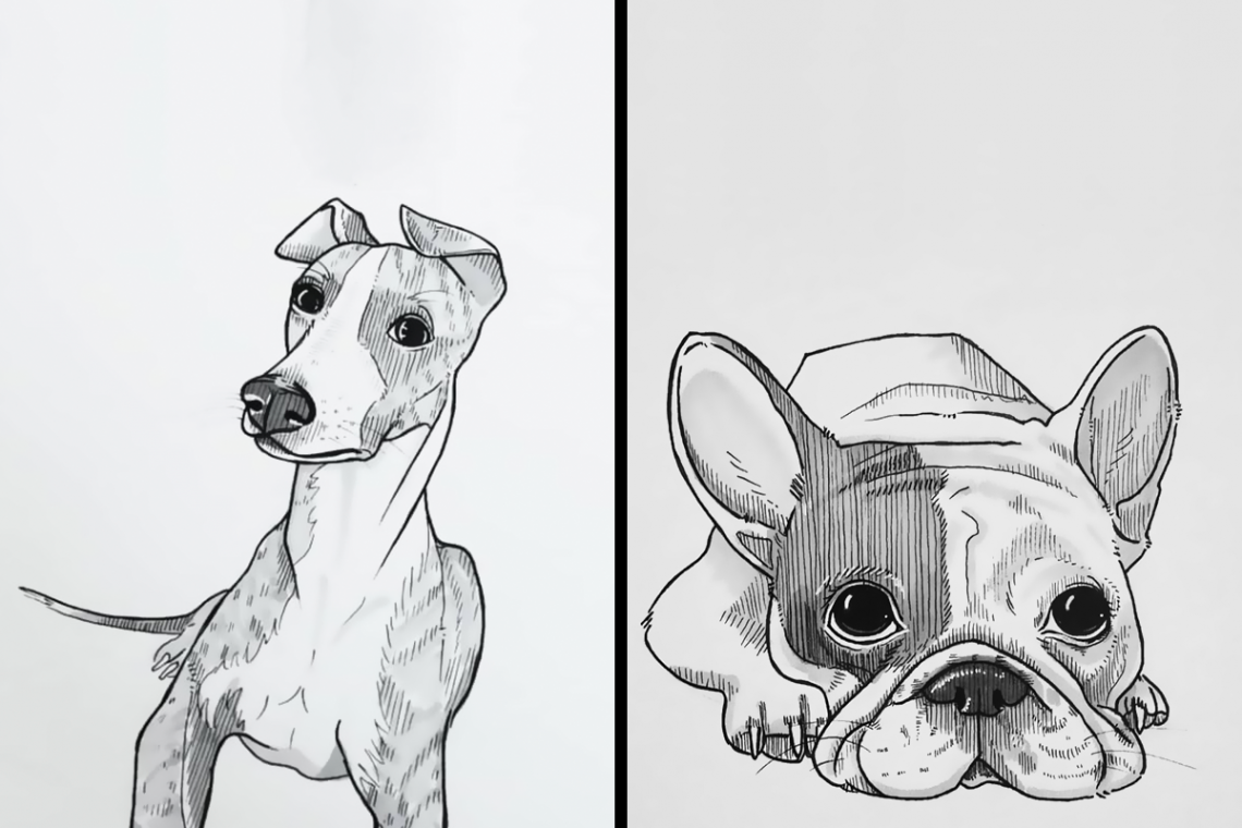 Dog Drawings To Give You A Smile, Inspired By A -Day Drawing