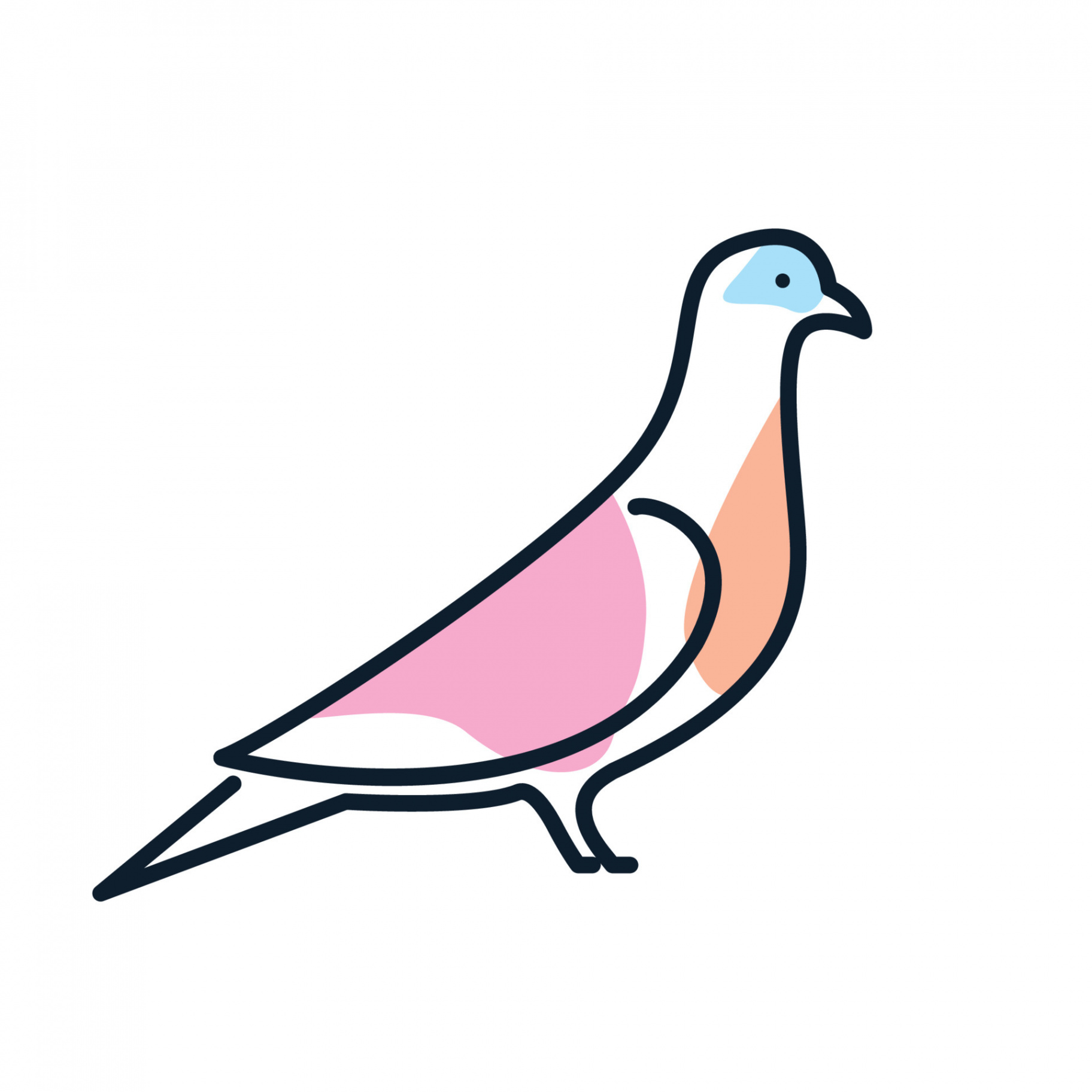 dove or pigeon line abstract colorful logo vector illustration