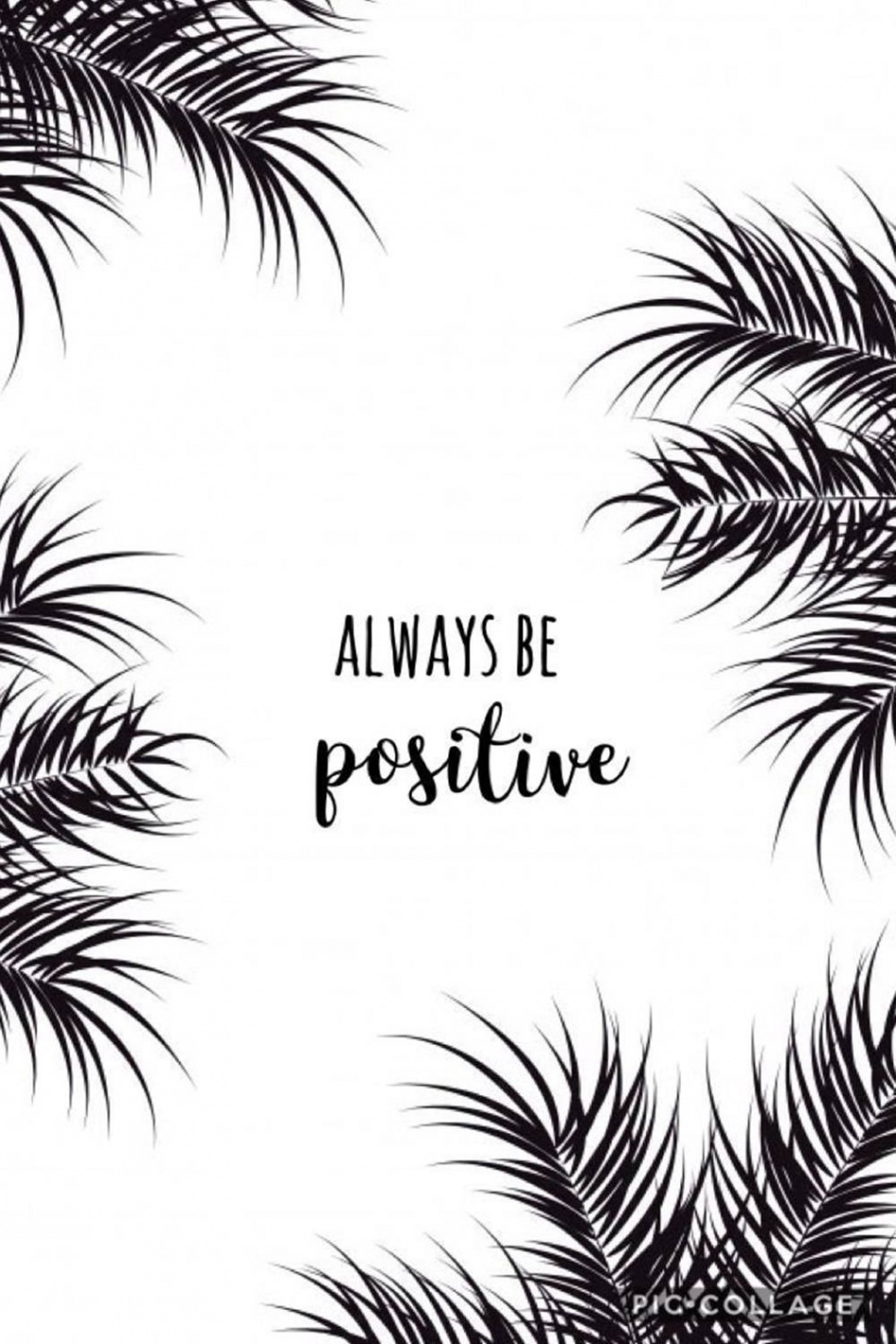 Download Positive White Aesthetic iPhone Wallpaper  Wallpapers