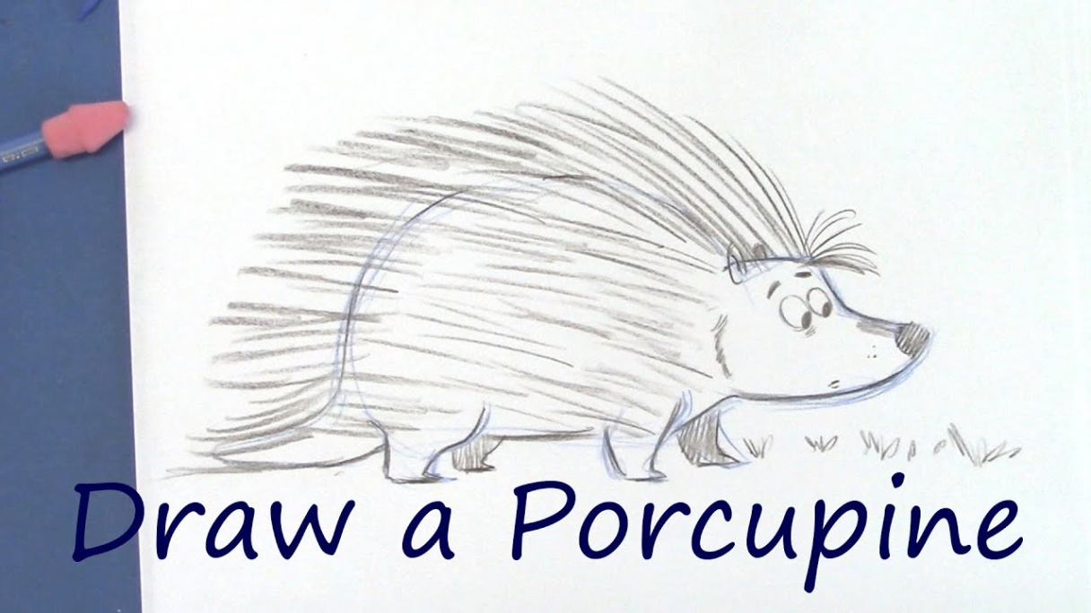 Draw a Cute Porcupine - Cartoon Animals for Beginners