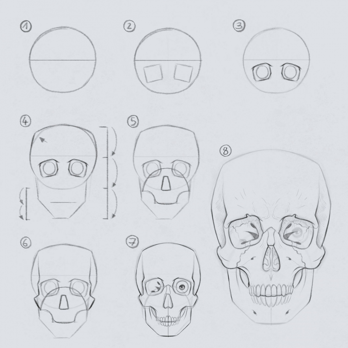 Drawing the Skull in  to  steps by gregor-kari on DeviantArt