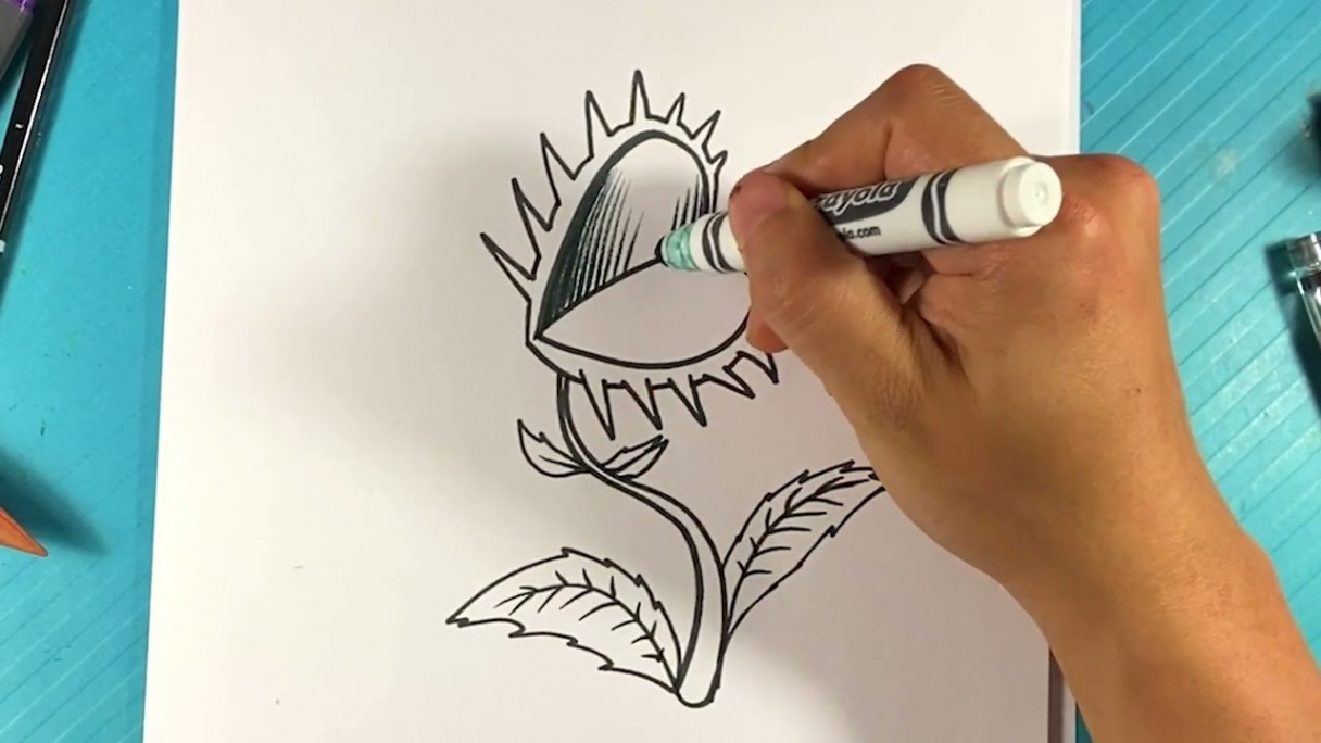 EASY How to Draw VENUS FLYTRAP