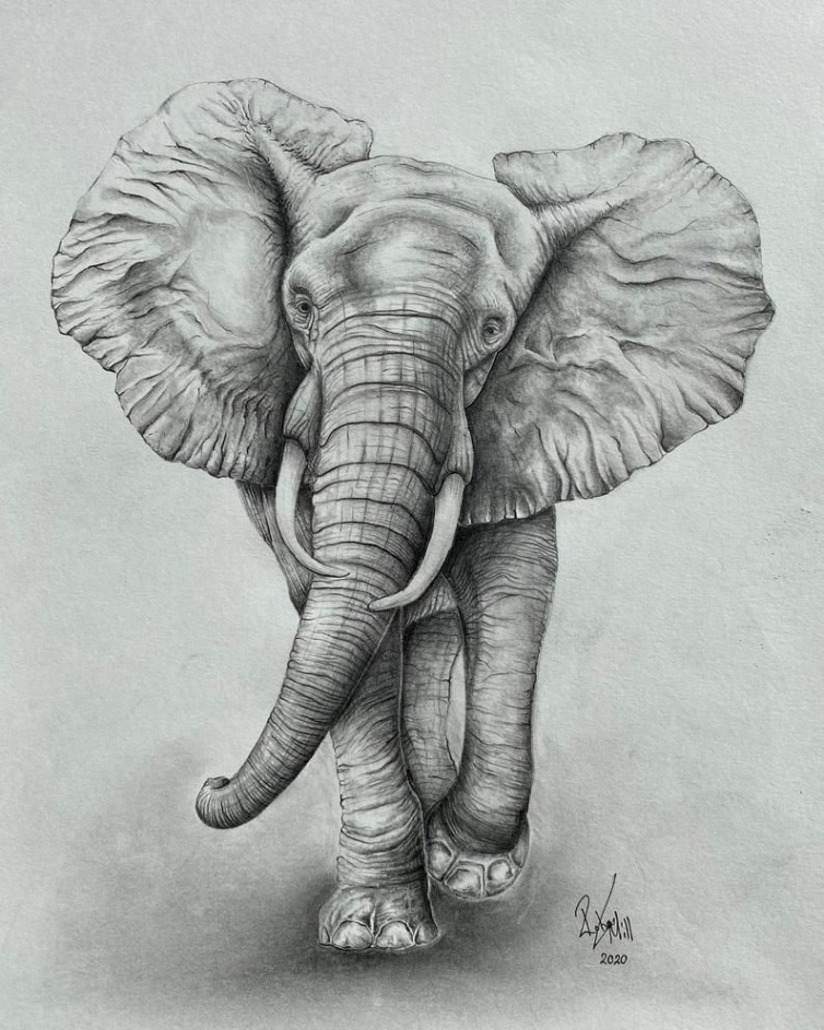 Elephant Pencil Drawing Elephant Wall Art Elephant Home - Etsy UK