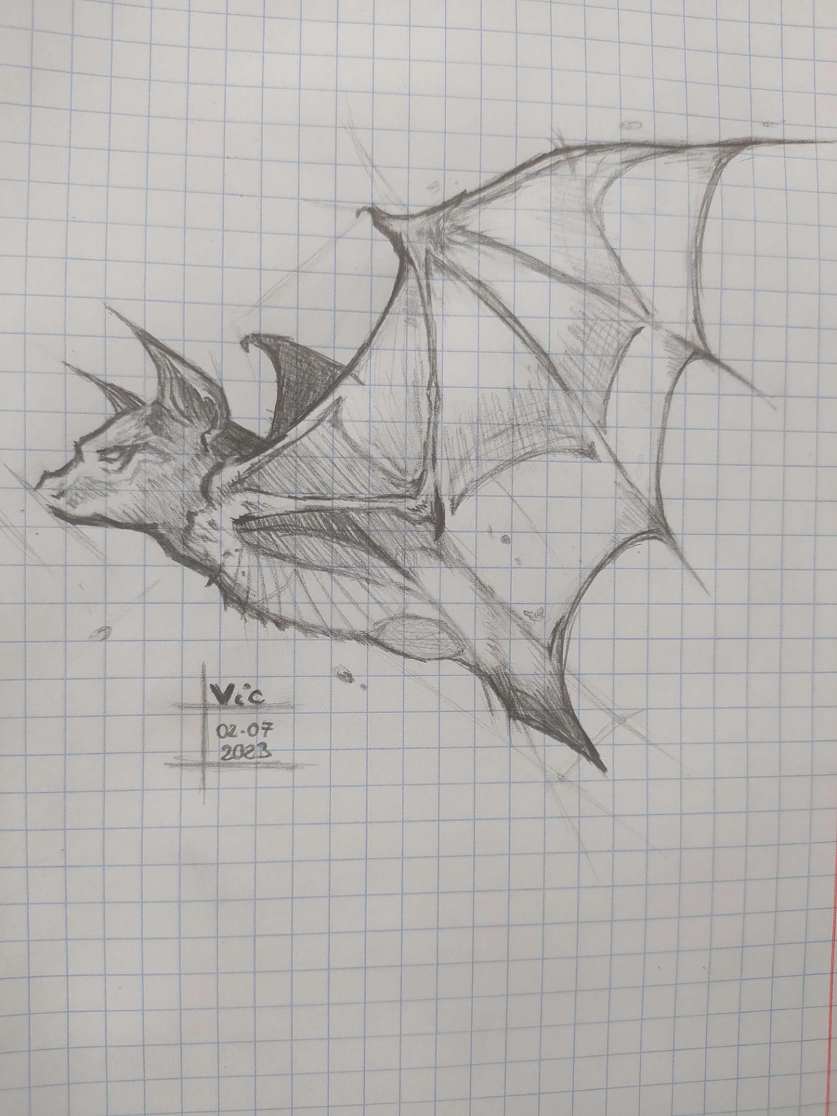 Flying bat sketch by NoodlesPrivate on DeviantArt