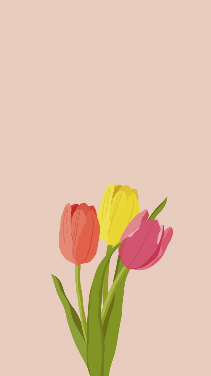 Free: Colorful tulips iPhone wallpaper, pink  Free Photo