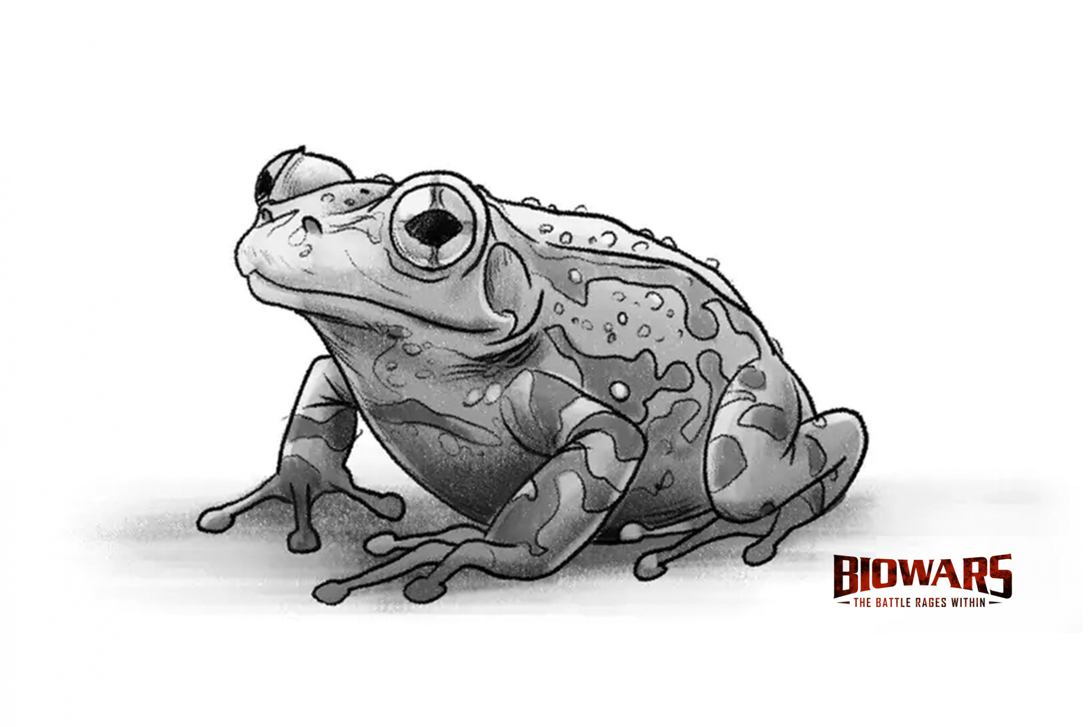 Frog Drawing Guide:  Simple Steps [Video + Illustrations] - BioWars