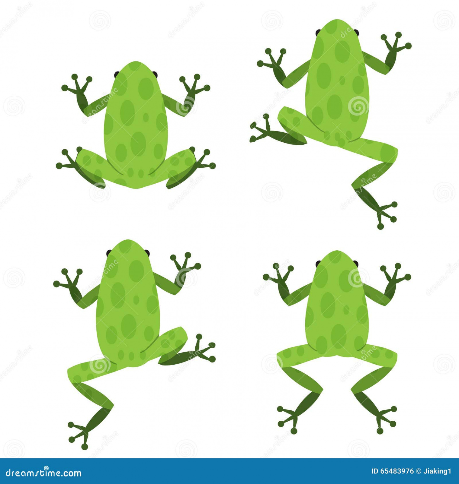 Frog Top View Stock Illustrations –  Frog Top View Stock