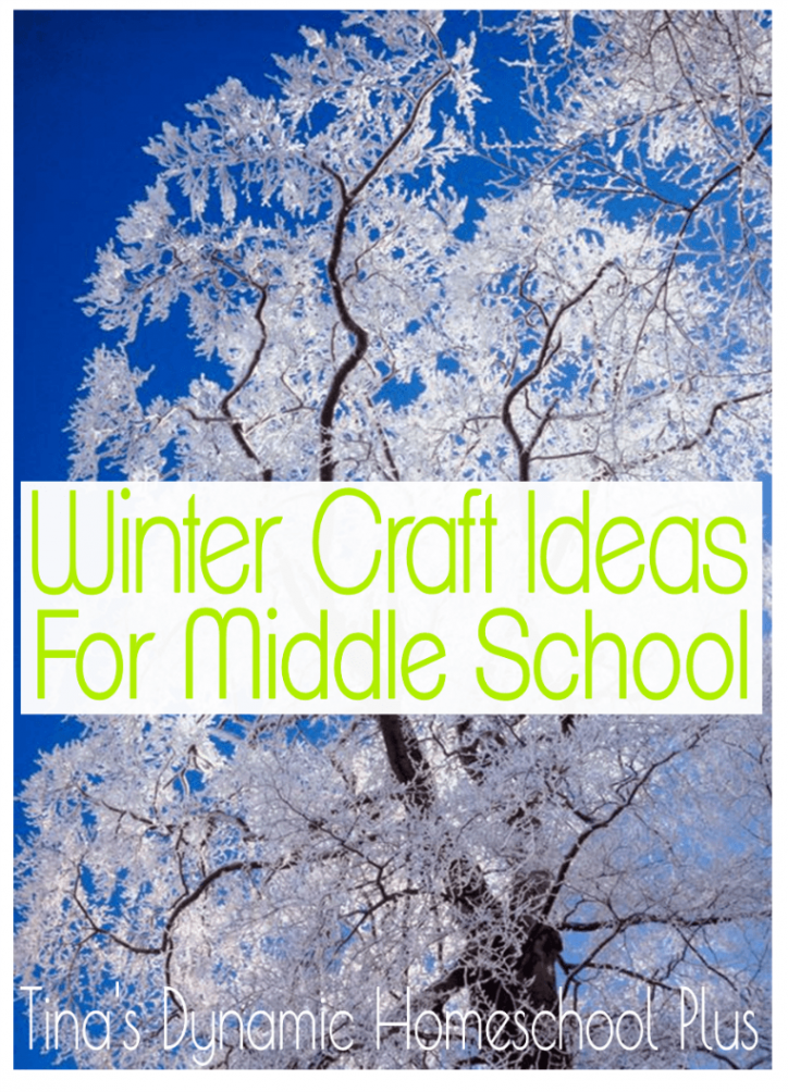 Fun Winter Craft Ideas for Middle School Homeschool  Middle