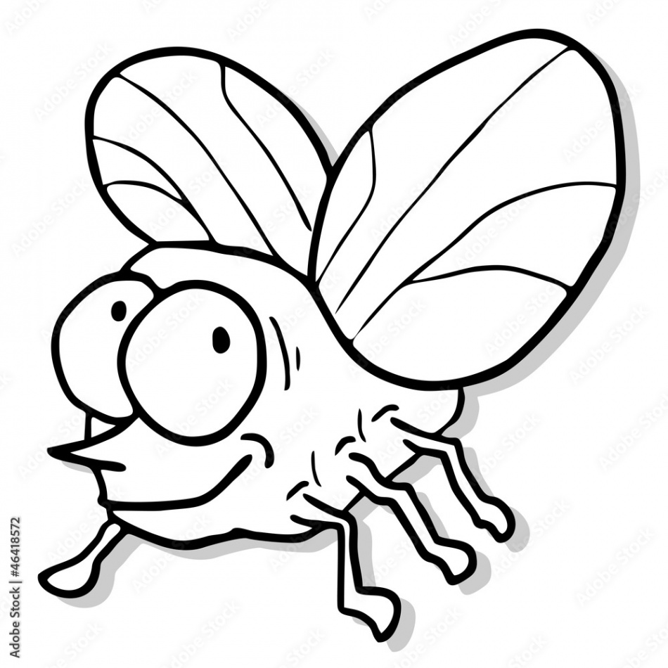 Funny fly design Stock Vector  Adobe Stock